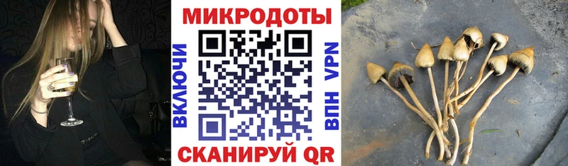 Купить где Осинники Псилоцибиновые грибы GOLDEN TEACHER