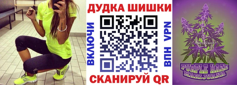 Купить где  Осинники  Бошки Шишки семена 